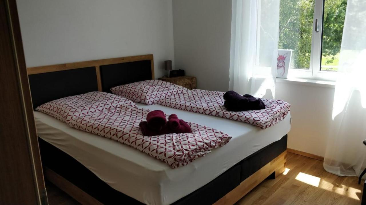 Alpenblick Apartment ไอค์ ภายนอก รูปภาพ